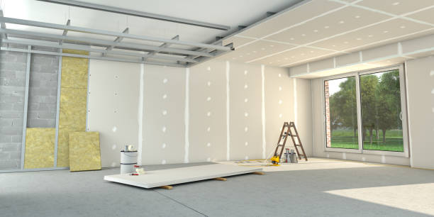 Best Insulation Removal  in Merrifield, VA